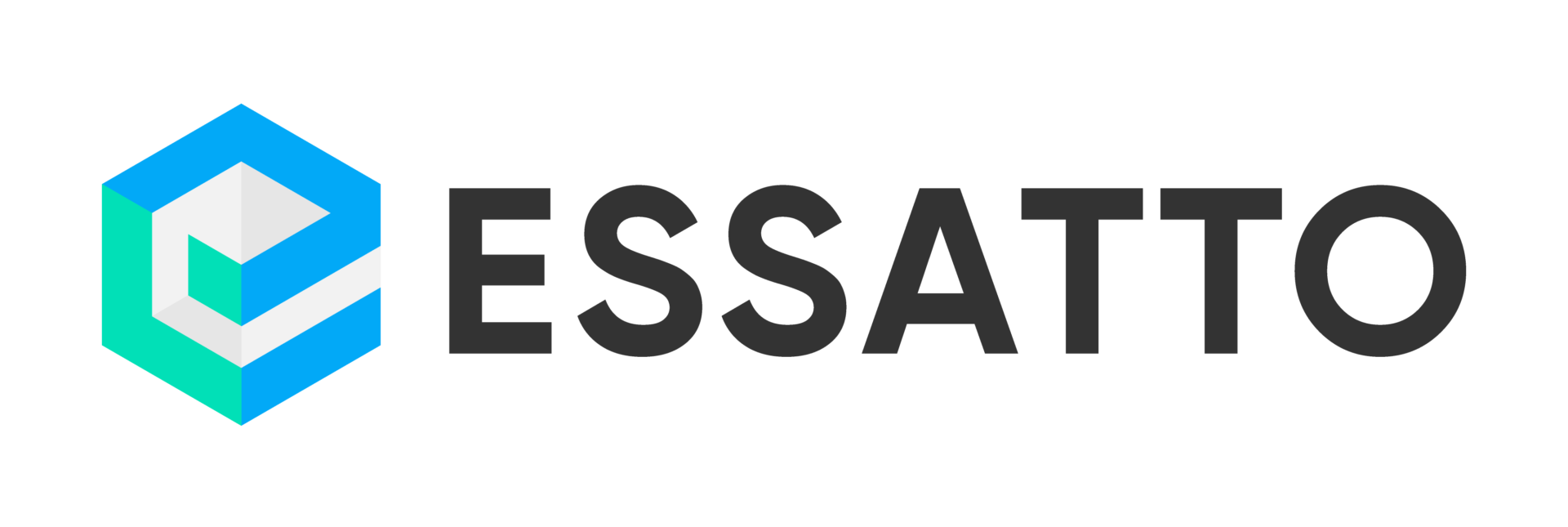 Essatto Logo